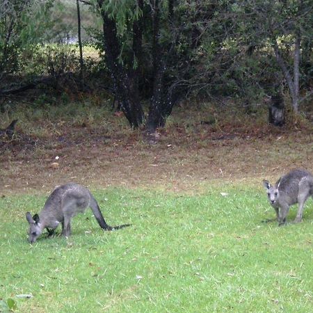 Wombatalla カンガルー・バレー エクステリア 写真